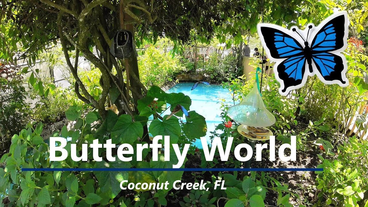 Coconut Creek